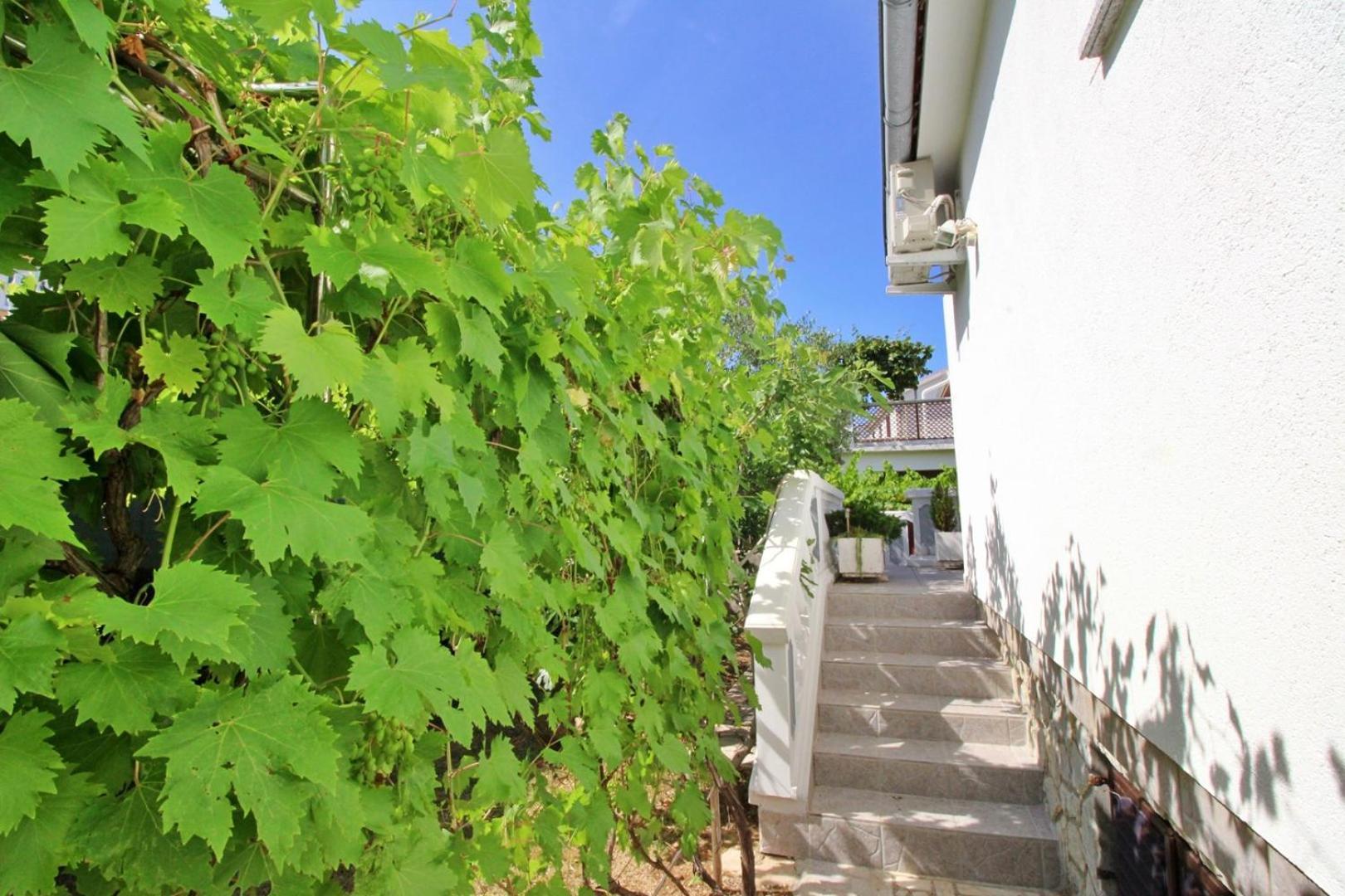 Apartments Zlatica Сило Экстерьер фото